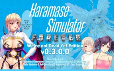 Haramase Simulator v.0.4.0.3