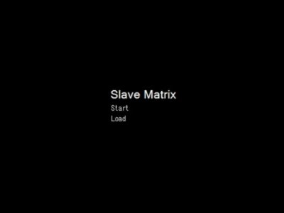 Slave Matrix