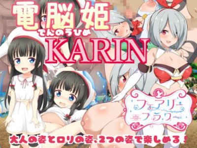 Digital Princess KARIN / 電脳姫KARIN 