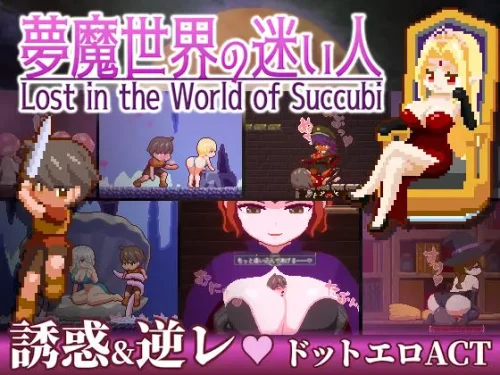 Lost in the World of Succubi v.1.0.2